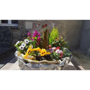 Composition de plantes