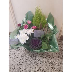 Composition de plantes